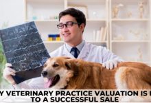 why-veterinary-practice-valuation-is-key-to-a-successful-sale