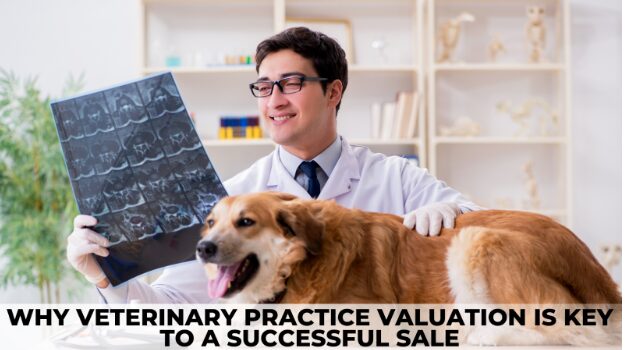 why-veterinary-practice-valuation-is-key-to-a-successful-sale